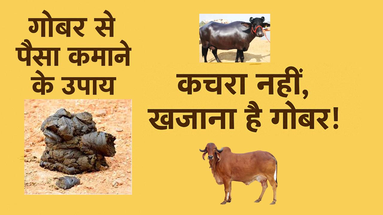गोबर से पैसा कमाने के उपाय