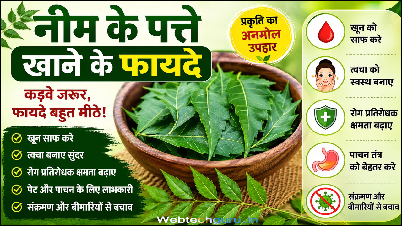 Neem ke patte